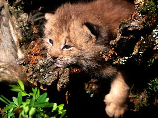 Poznań odzież dla puszystych
