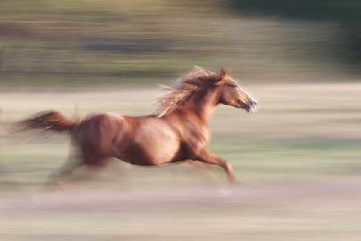 projektowanie sklepów internetowych Piła