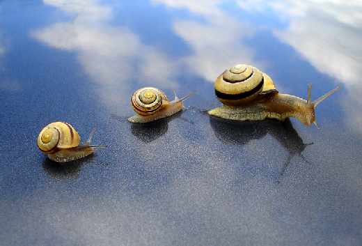 tworzenie stron internetowych Piła