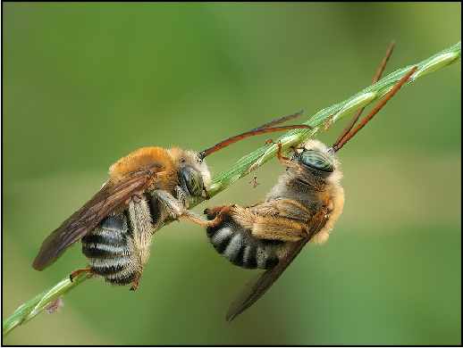 strony www Nisko opinie