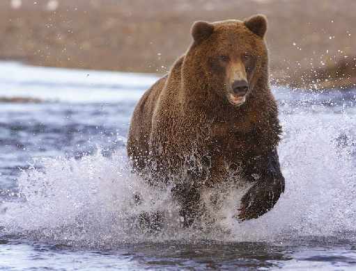 projektowanie stron www Piła