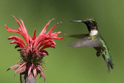 projektowanie sklepów internetowych Piła