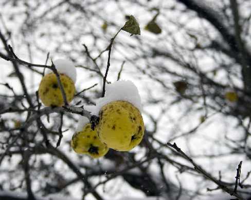 Trzcianka projektowanie sklepów
