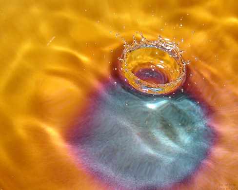 najlepsze biuro architektoniczne Toruń