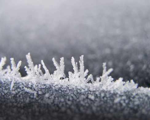 projektowanie strony internetowej Trzcianka