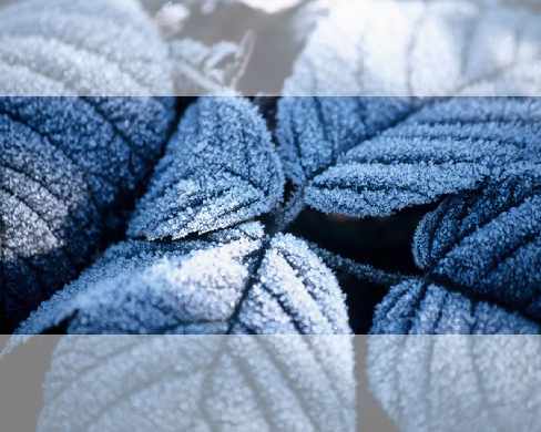 strony internetowe Piła