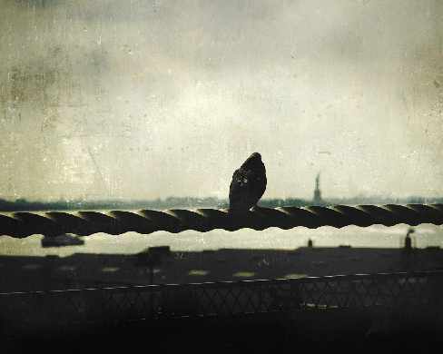 tworzenie stron internetowych Piła