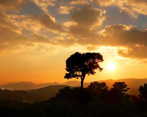 strony internetowe Piła