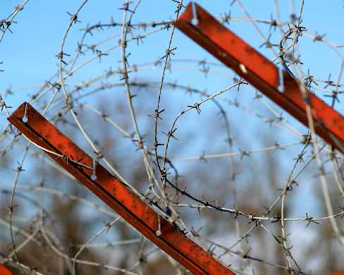 projektowanie sklepu www Chodzież