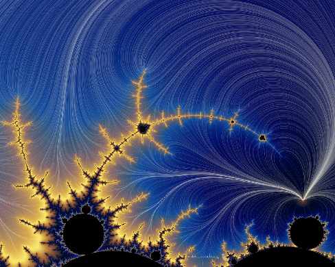 budowa strony www Kamieńsk ceny