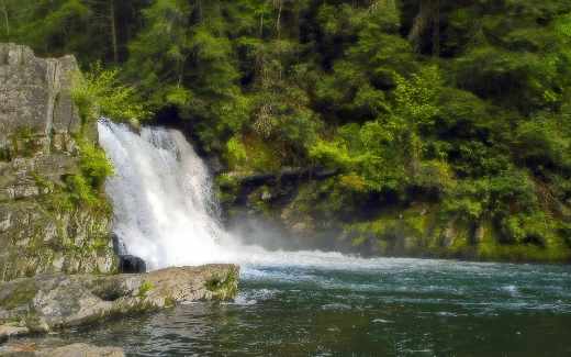 ubrania duże rozmiary Bydgoszcz