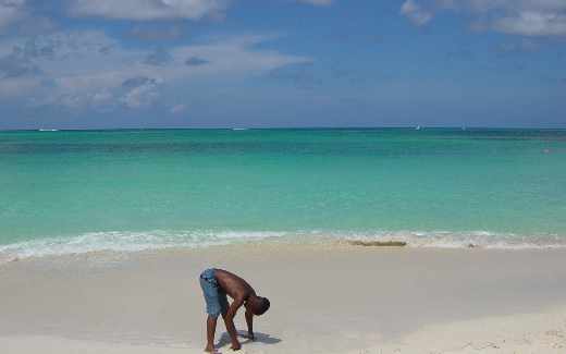 projektowanie sklepów www Piła