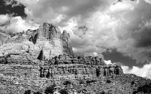 Kcynia projektowanie sklepów www opinie