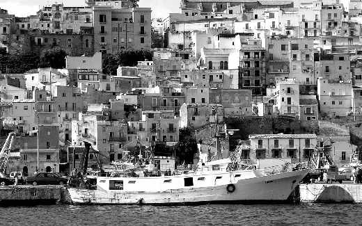 tworzenie stron www Piła