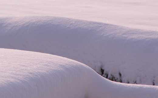 tworzenie stron internetowych Pila