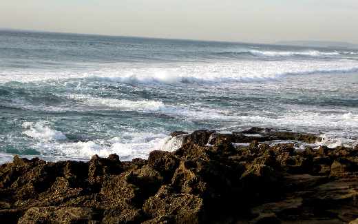 pozycjonowanie stron internetowych w Pile