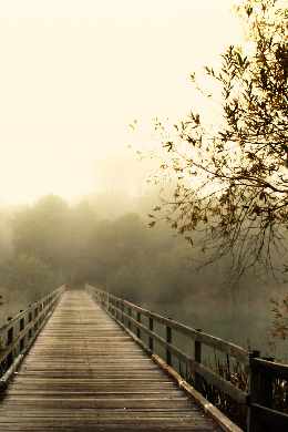 Piła strony internetowe