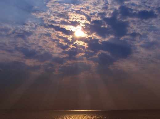 Piła pozycjonowanie stron www