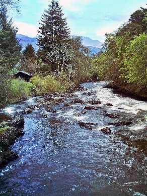 tworzenie stron www Piła