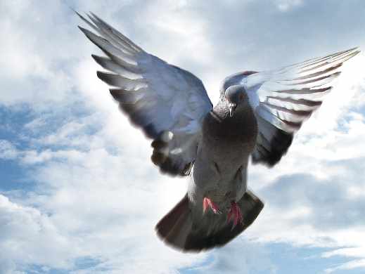 biuro projektowe Toruń