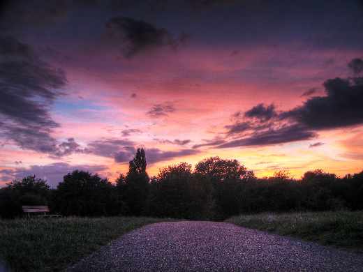 tworzenie stron www Piła