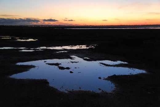 projektowanie stron internetowych Jelenia Góra