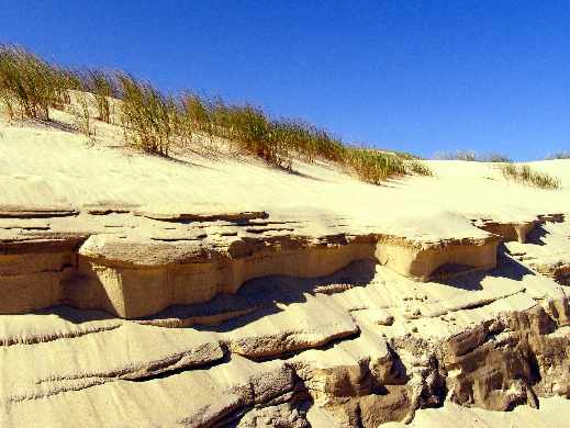 budowa strony www Dębno ceny