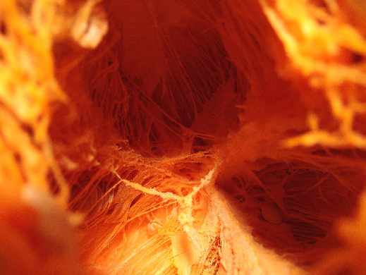 zakładanie stron internetowych Kargowa