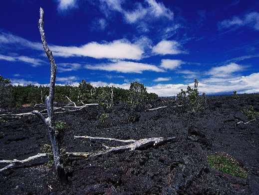 pozycjonowanie stron www Piła