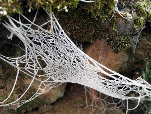 pozycjonowanie stron www Pila