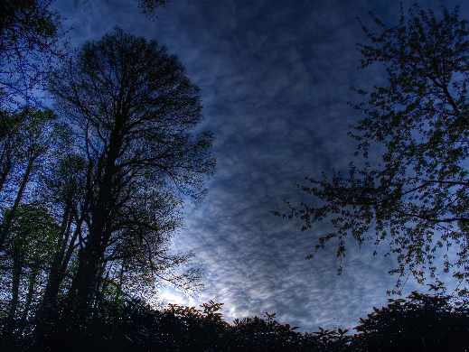 projektowanie sklepu www Piła