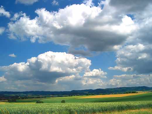 projektowanie sklepów www Piła