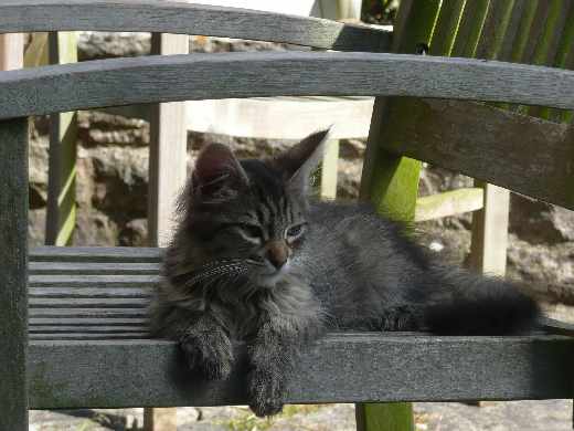 tworzenie sklepow internetowych Pila