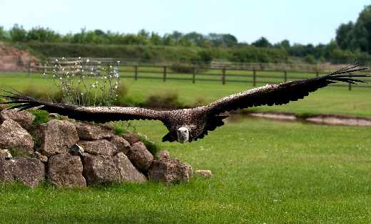 pozycjonowanie strony Swarzędz cena