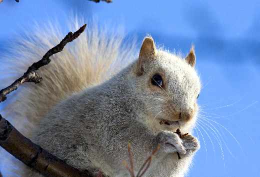 Piła strony internetowe
