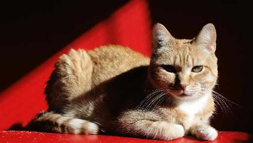 tanie biuro projektowe Toruń