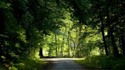 Piła sklepy internetowe